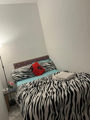 MY STAY